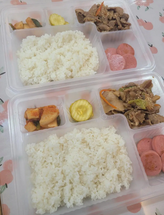 [Base Only] 5-Compartment 11"x8" Premium Bento Box, Microwavable PP, transparent, 300/case